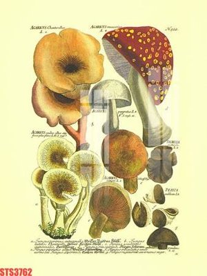 File tranh Tranh sơn dầu phương tây tổng hợp STS3762 (bản gốc) in lụa 3D