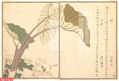 File gốc Tranh sơn dầu phương tây tổng hợp STS3797 (in mica) làm bảng hiệu