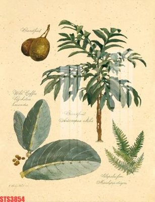 Tải file Tranh sơn dầu phương tây tổng hợp STS3854 (ảnh gốc) độ phân giải 300dpi