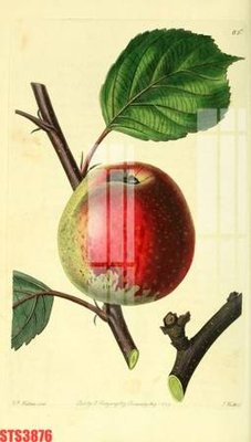 Download file gốc Tranh sơn dầu phương tây tổng hợp STS3876 (in lụa) hoa lá