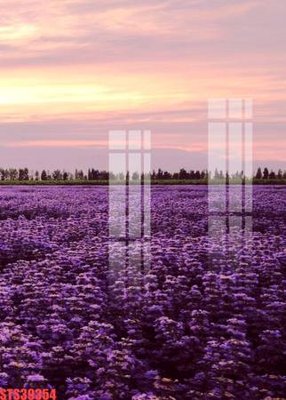 Hình ảnh file gốc Tranh sơn dầu phương tây tổng hợp STS39354 (chất lượng cao)