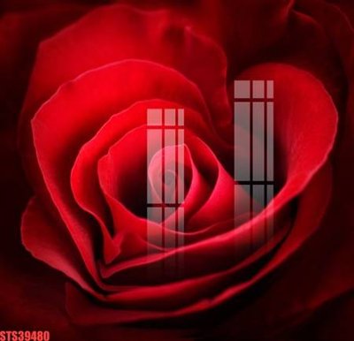 File PSD in ấn Tranh sơn dầu phương tây tổng hợp STS39480 (chất lượng cao)