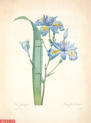 Hình ảnh file gốc Tranh sơn dầu phương tây tổng hợp STS3953 cho in UV