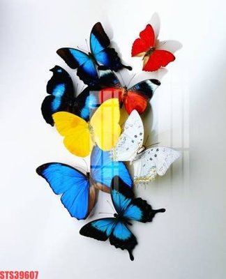 File in trần Tranh sơn dầu phương tây tổng hợp STS39607 (bản gốc) phong cảnh