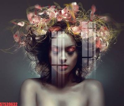 File tranh in trần Tranh sơn dầu phương tây tổng hợp STS39632 (ảnh gốc siêu nét)