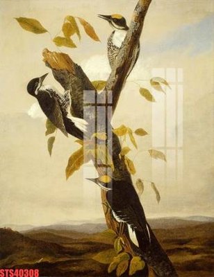 File gốc Tranh sơn dầu phương tây tổng hợp STS40308 (in tráng gương) sang trọng