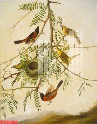 Tải file tranh Tranh sơn dầu phương tây tổng hợp STS40309 (ảnh gốc) ngay