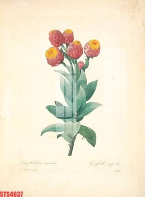 File tranh Tranh sơn dầu phương tây tổng hợp STS4037 (bản gốc) in lụa dán tường