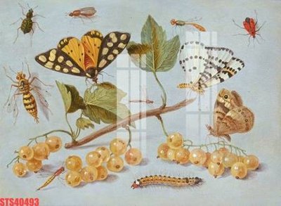 File in trần Tranh sơn dầu phương tây tổng hợp STS40493 (bản gốc) phong cảnh