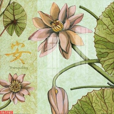 File tranh Tranh sơn dầu phương tây tổng hợp STS4274 (ảnh gốc) in trần xuyên sáng