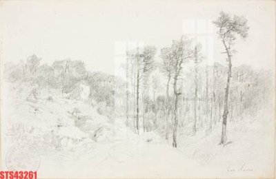 Tải file Tranh sơn dầu phương tây tổng hợp STS43261 (gốc) in tranh tráng gương