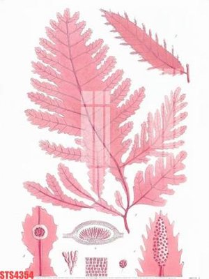 File tranh PSD Tranh sơn dầu phương tây tổng hợp STS4354 chất lượng cao