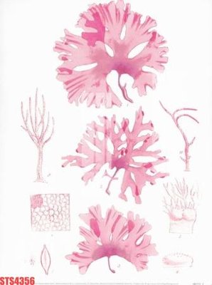 File ảnh Tranh sơn dầu phương tây tổng hợp STS4356 (gốc) cho trang trí nhà hàng