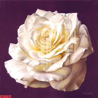 File gốc Tranh sơn dầu phương tây tổng hợp STS4372 (in tráng gương) sang trọng