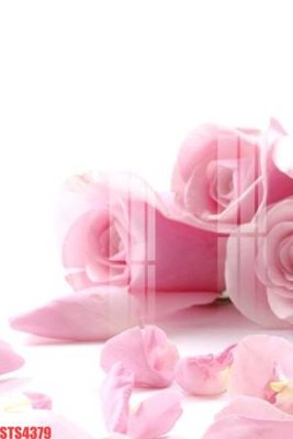 File tranh gốc Tranh sơn dầu phương tây tổng hợp STS4379 (bản quyền) file PSD