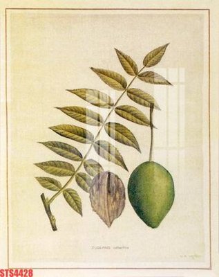 File in lụa Tranh sơn dầu phương tây tổng hợp STS4428 (phong cảnh) Tranh sơn dầu phương tây tổng hợp STS4428