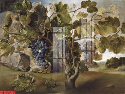 File PSD in ấn Tranh sơn dầu phương tây tổng hợp STS44376 (chất lượng cao)