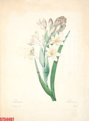 File gốc Tranh sơn dầu phương tây tổng hợp STS4487 (cho in UV) siêu nét