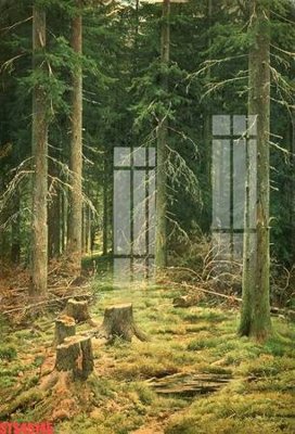 File tranh Tranh sơn dầu phương tây tổng hợp STS45145 (bản gốc) treo phòng ăn