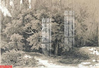 File gốc Tranh sơn dầu phương tây tổng hợp STS45210 (PNG) trong suốt (transparent)