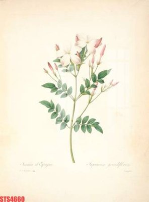 File tranh gốc Tranh sơn dầu phương tây tổng hợp STS4660 (sắc nét từng chi tiết)