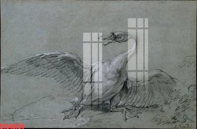 File in trần Tranh sơn dầu phương tây tổng hợp STS46724 (bản gốc) trời sao