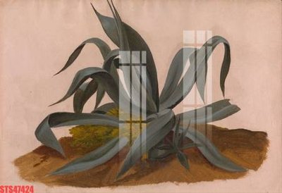 File tranh Tranh sơn dầu phương tây tổng hợp STS47424 (ảnh gốc) in trần 3D