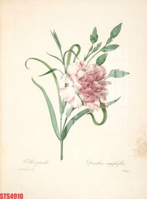 File ảnh Tranh sơn dầu phương tây tổng hợp STS4910 (gốc) in Hiflex