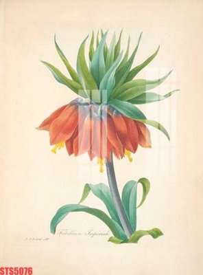 Tải file gốc Tranh sơn dầu phương tây tổng hợp STS5076 (in khổ lớn) không vỡ