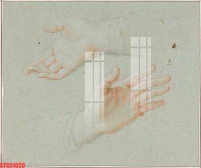 File in lụa Tranh sơn dầu phương tây tổng hợp STS51020 (hoa văn) Tranh sơn dầu phương tây tổng hợp STS51020