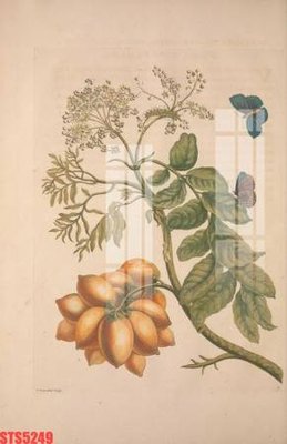 File in lụa Tranh sơn dầu phương tây tổng hợp STS5249 (tân cổ điển) Tranh sơn dầu phương tây tổng hợp STS5249