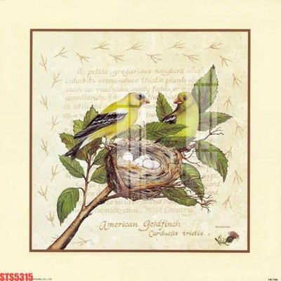 File PSD Tranh sơn dầu phương tây tổng hợp STS5315 (nguyên bản) cho thiết kế