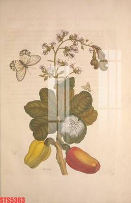 Mua file gốc Tranh sơn dầu phương tây tổng hợp STS5363 (PSD) tại Filetranh.com