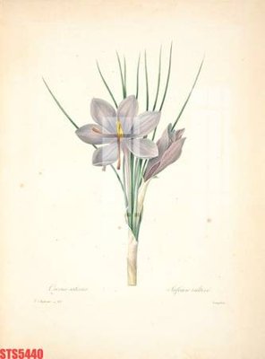 File in ấn chuyên nghiệp Tranh sơn dầu phương tây tổng hợp STS5440 (file gốc)