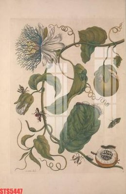 File tranh Tranh sơn dầu phương tây tổng hợp STS5447 (ảnh gốc) in trần nhà