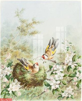 File gốc Tranh sơn dầu phương tây tổng hợp STS57551 (trang trí) phòng trẻ em