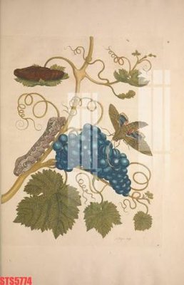 File gốc Tranh sơn dầu phương tây tổng hợp STS5774 (in mica) cắt laser