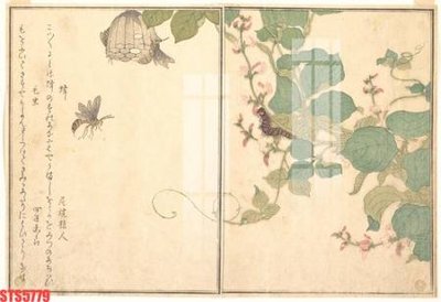 File in ấn Tranh sơn dầu phương tây tổng hợp STS5779 chuyên nghiệp