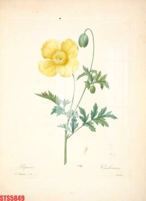 File tranh in mica Tranh sơn dầu phương tây tổng hợp STS5849 (độ phân giải cao)