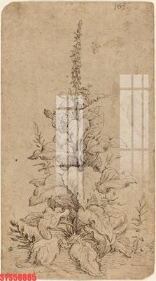 File gốc Tranh sơn dầu phương tây tổng hợp STS58885 (cho in ấn) từ Filetranh.com