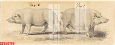 File in ấn chuyên nghiệp Tranh sơn dầu phương tây tổng hợp STS59790 (file gốc)