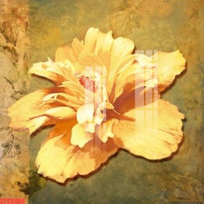 File PSD Tranh sơn dầu phương tây tổng hợp STS5994 (chất lượng in ấn)