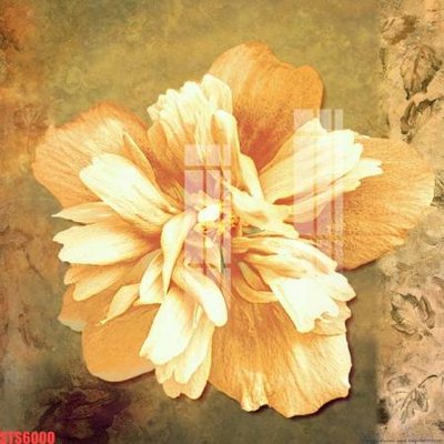 File gốc Tranh sơn dầu phương tây tổng hợp STS6000 (in lụa) chi tiết cao