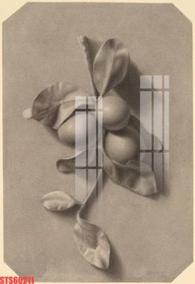 Tải file Tranh sơn dầu phương tây tổng hợp STS60211 (gốc) làm file thiết kế