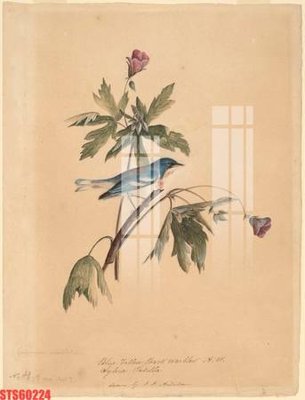 File gốc Tranh sơn dầu phương tây tổng hợp STS60224 (ảnh rõ nét) để in