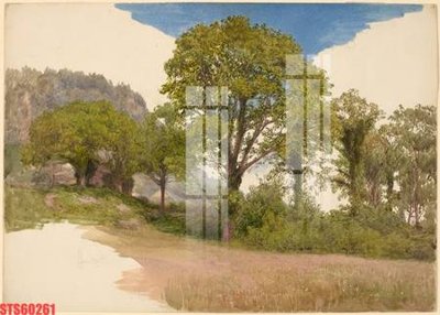 Hình ảnh gốc Tranh sơn dầu phương tây tổng hợp STS60261 (để in khổ lớn)