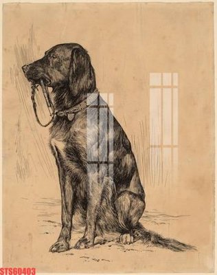 File in trần Tranh sơn dầu phương tây tổng hợp STS60403 (bản gốc) trời sao