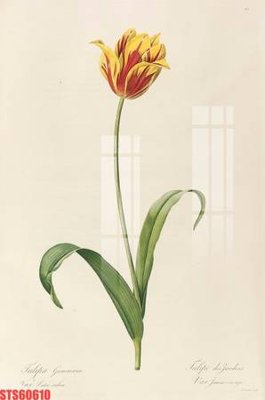 File gốc in ấn Tranh sơn dầu phương tây tổng hợp STS60610 (sẵn sàng tải về)