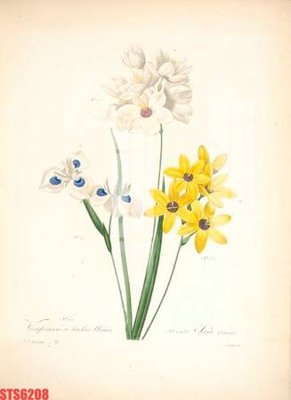 Tải file Tranh sơn dầu phương tây tổng hợp STS6208 (ảnh gốc) file AI/EPS