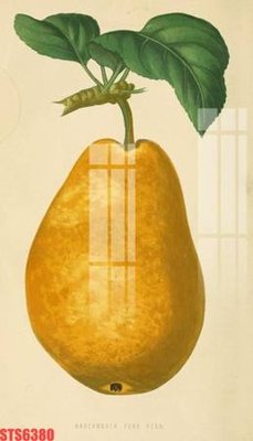 Ảnh gốc Tranh sơn dầu phương tây tổng hợp STS6380 (độ nét cao) in tráng gương